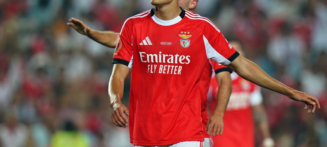 co silva bournemouth benfica deal